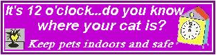 An indoor cat is a safe cat! [Courtesy CatStuff]