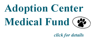 AdoptionCenterMedicalFundButton